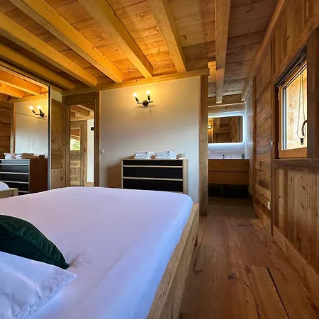 Vue Mont Blanc Avec Jacuzzi Exterieur *